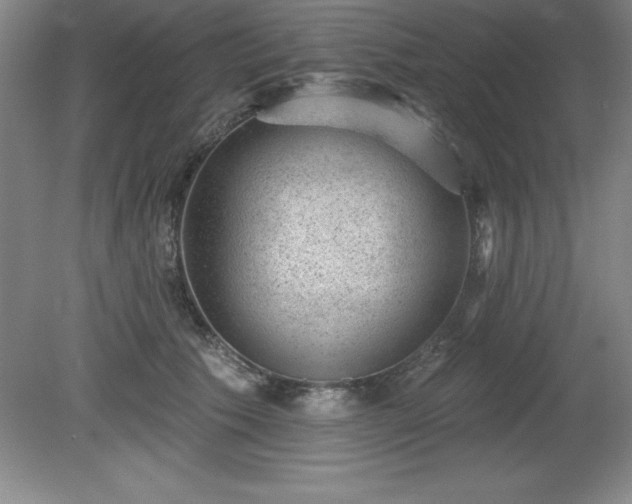 X0000081560609200701221029