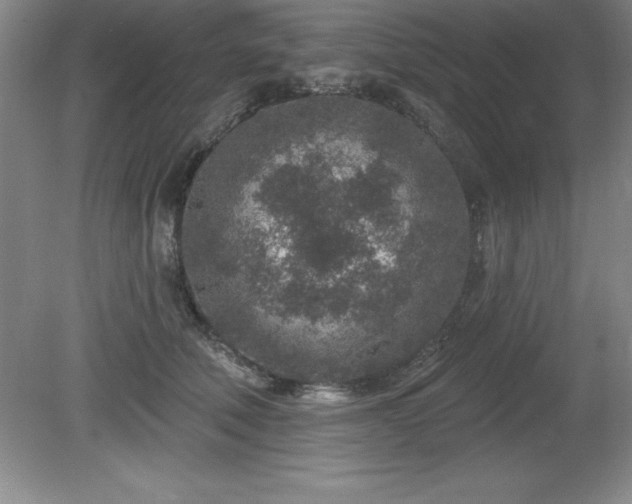 X0000081560610200701221029