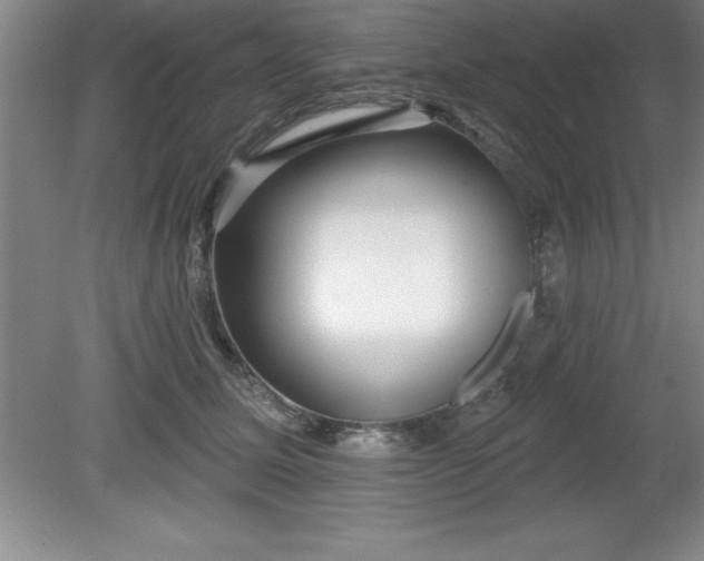 X0000081560611200701221029