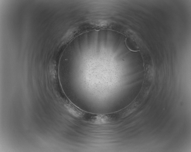 X0000081560612200701221029