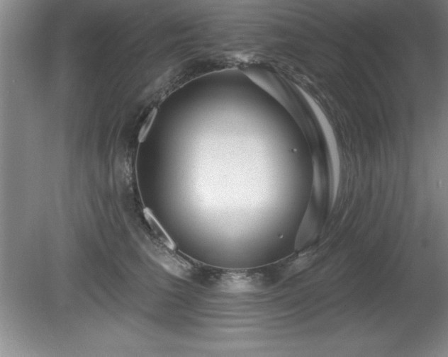 X0000081560613200701221029