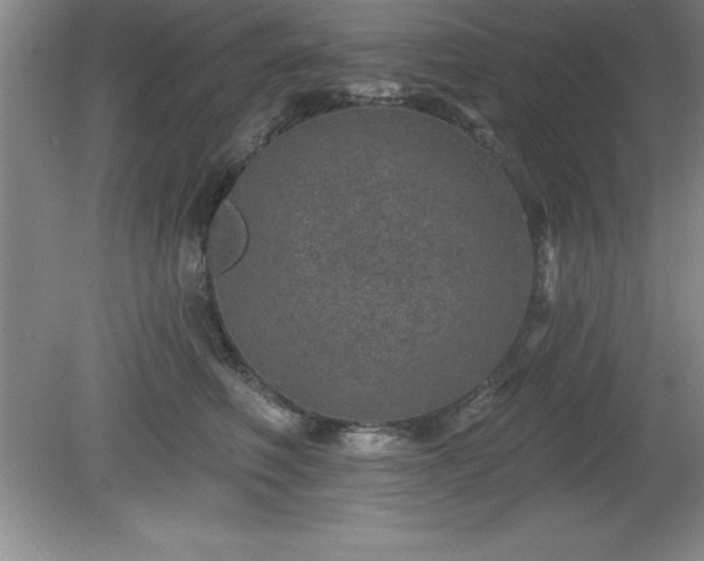 X0000081560614200701221029