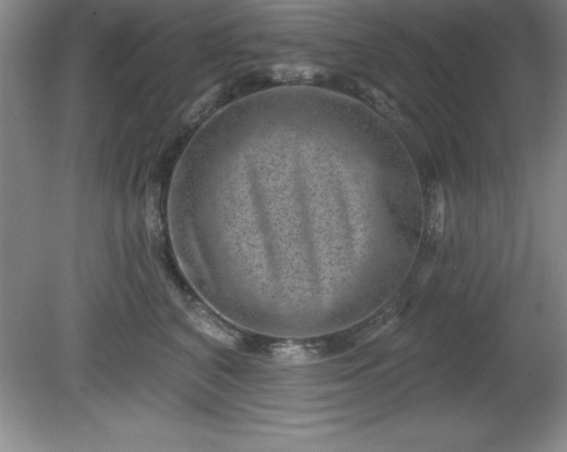 X0000081560616200701221028