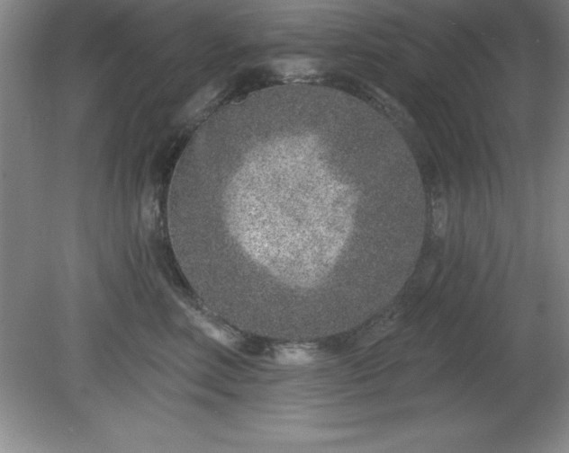 X0000081560618200701221028