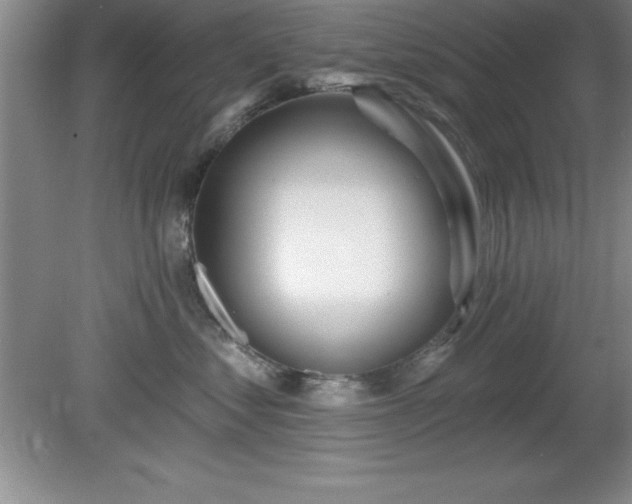 X0000081560621200701221028