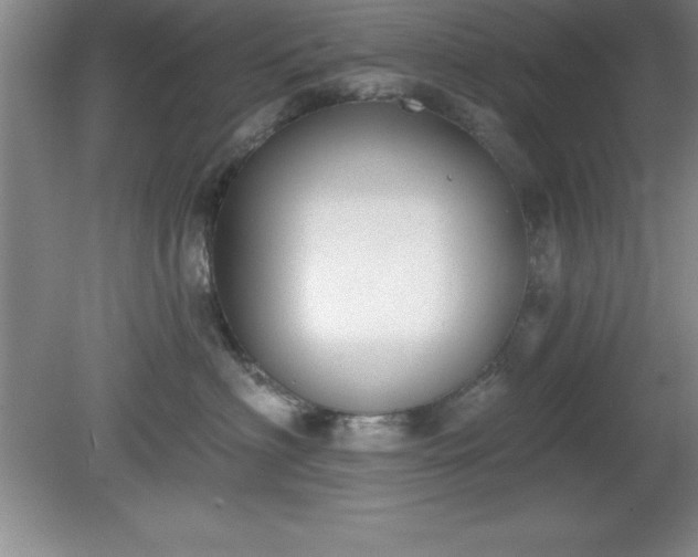 X0000081560622200701221028