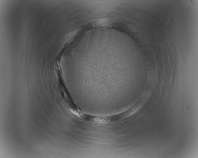 X0000081560624200701221028