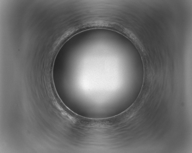 X0000081560625200701221028