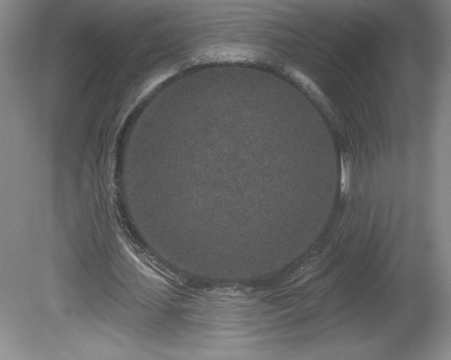 X0000081560627200701221028