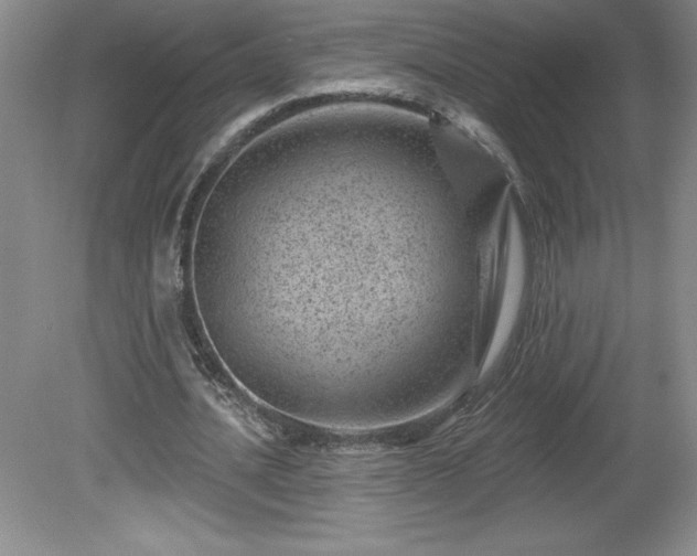 X0000081560628200701221028