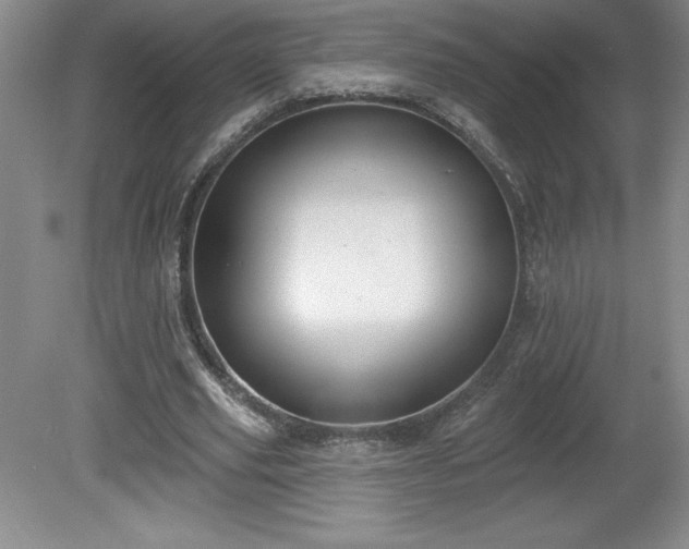 X0000081560629200701221028