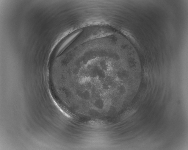 X0000081560630200701221028