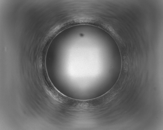 X0000081560631200701221028