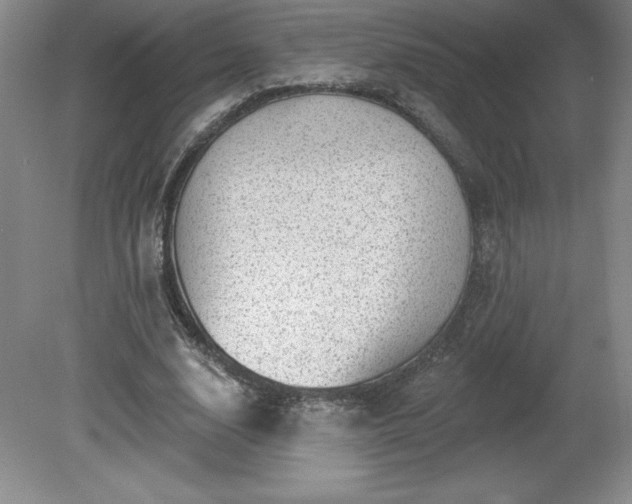 X0000081560632200701221028