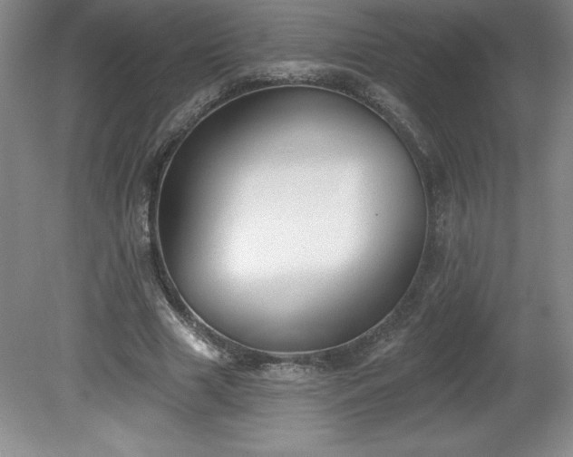 X0000081560633200701221028