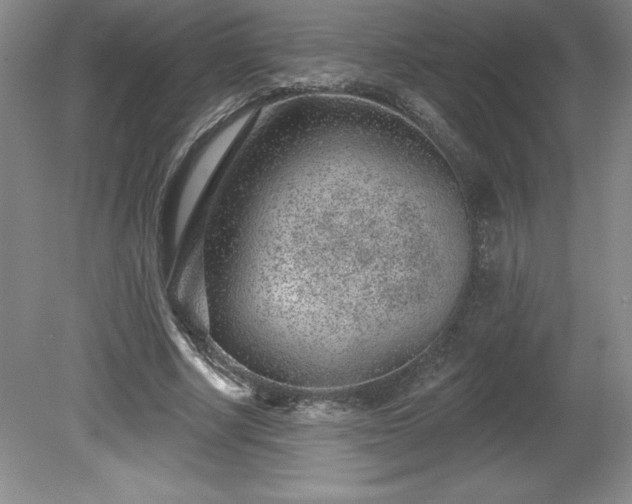 X0000081560634200701221028