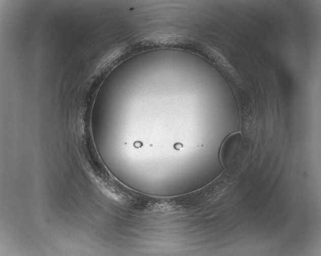 X0000081560635200701221028