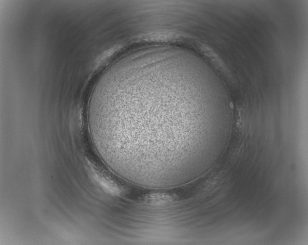 X0000081560636200701221028