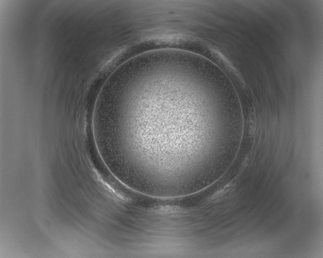 X0000081560637200701221028