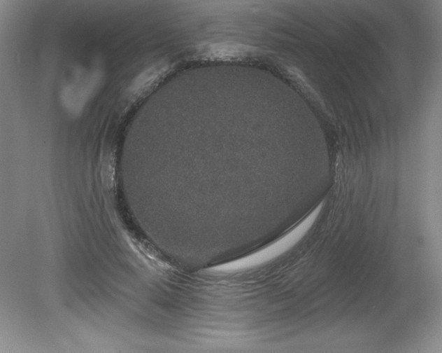 X0000081560640200701221028