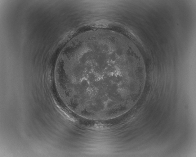 X0000081560641200701221028