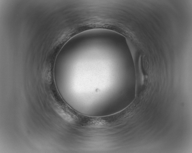 X0000081560642200701221028