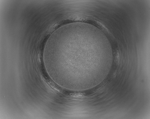 X0000081560643200701221028