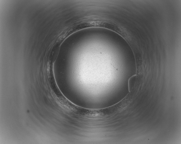 X0000081560646200701221028