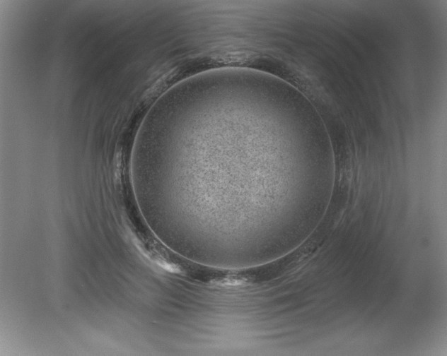 X0000081560647200701221028