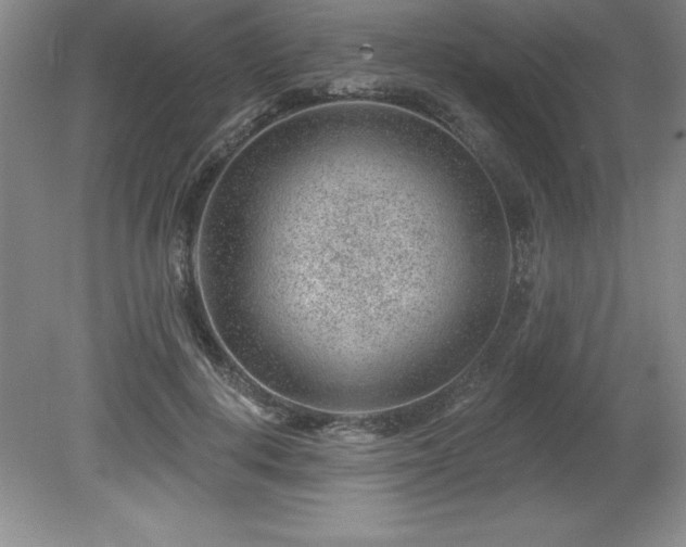 X0000081560648200701221028