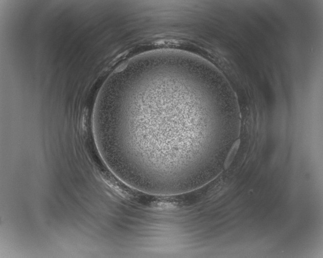 X0000081560649200701221028