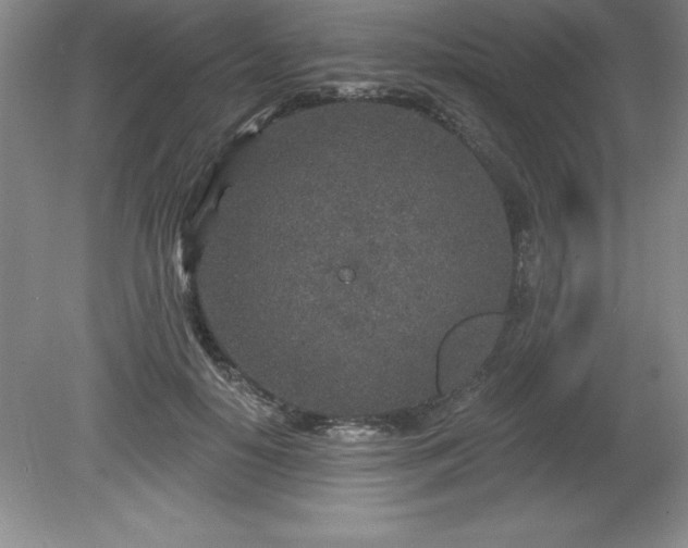 X0000081560650200701221028