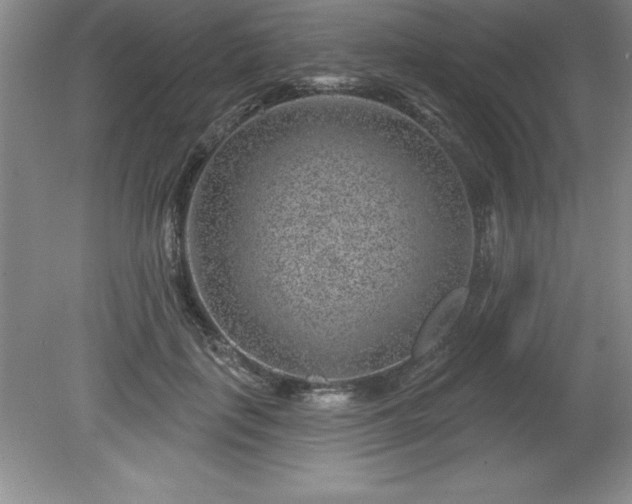 X0000081560651200701221028