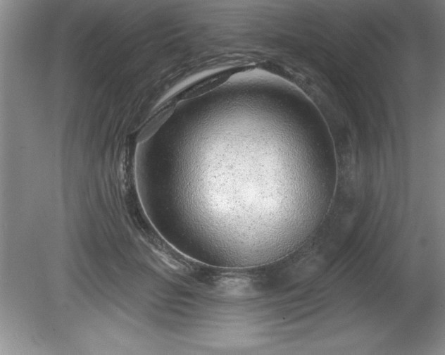 X0000081560653200701221028