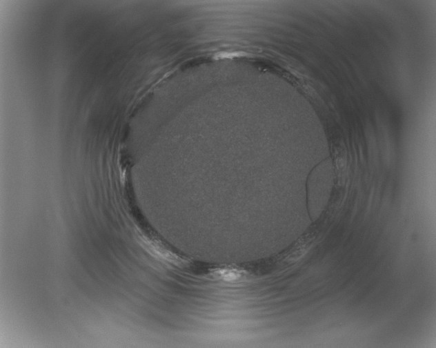 X0000081560654200701221028