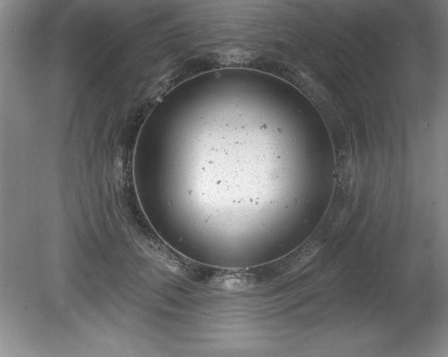 X0000081560655200701221028