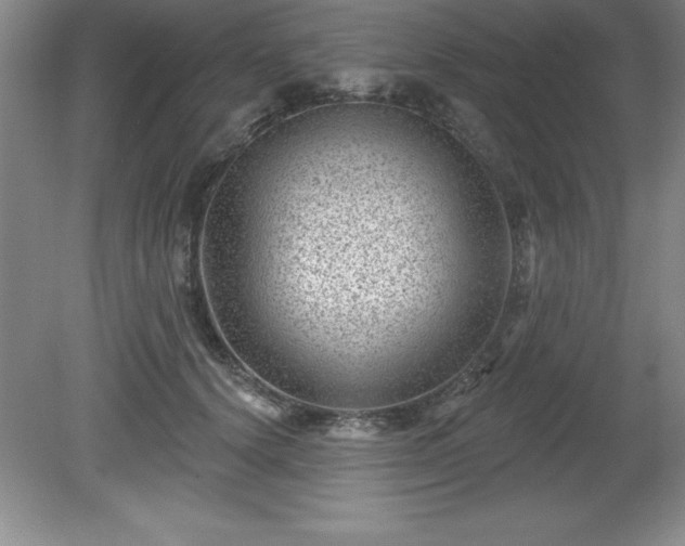 X0000081560656200701221028