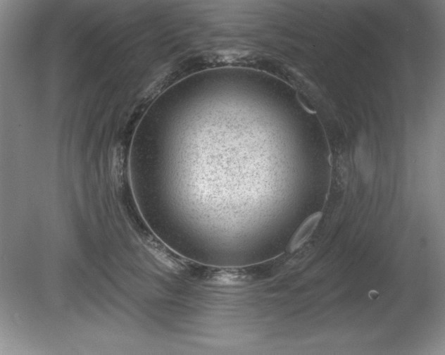 X0000081560657200701221028