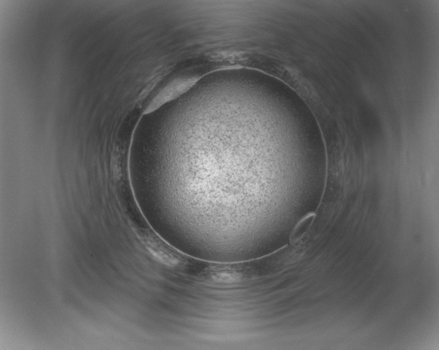 X0000081560658200701221028