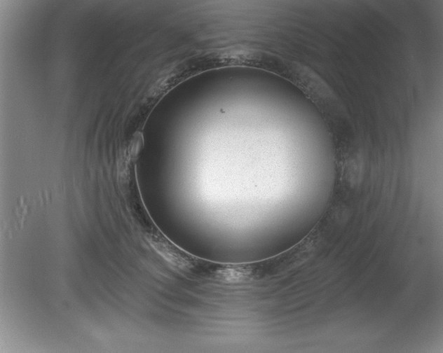 X0000081560660200701221028