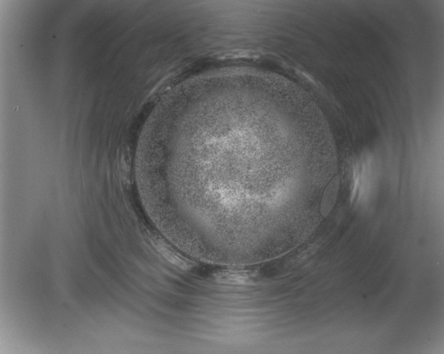 X0000081560661200701221028