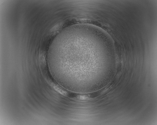 X0000081560662200701221028