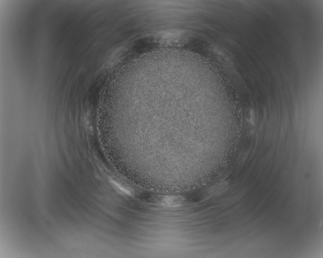 X0000081560663200701221028