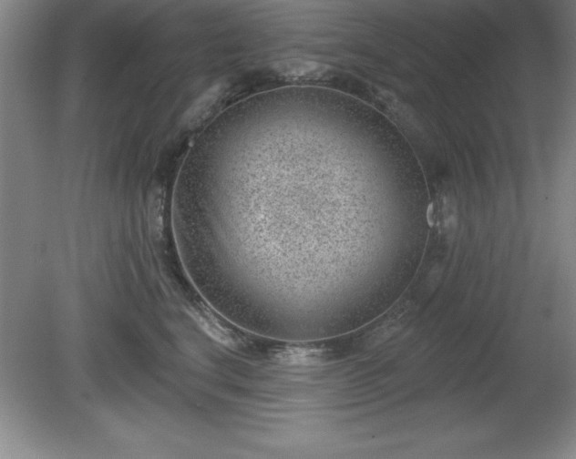 X0000081560664200701221028