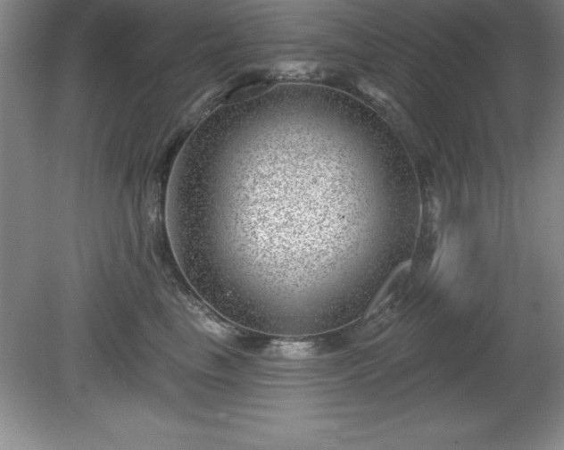 X0000081560665200701221028