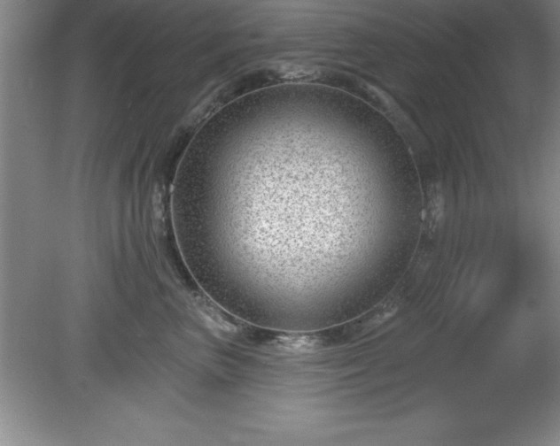 X0000081560667200701221028