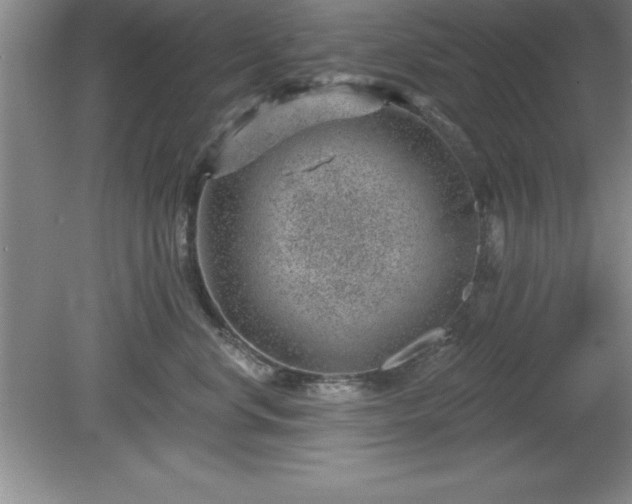 X0000081560668200701221028