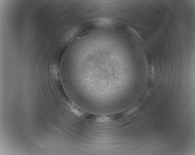 X0000081560669200701221028