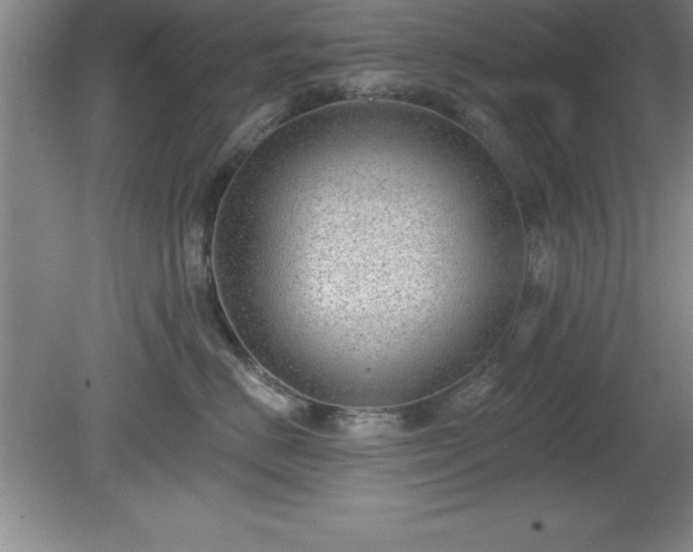 X0000081560670200701221028