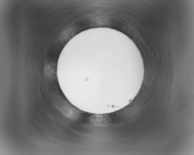 X0000081560672200701221028